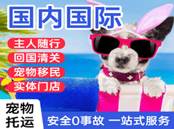 上饶三清山空运地址国际宠物托运 【国